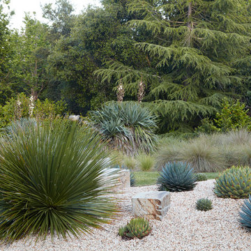 A garden for the drought