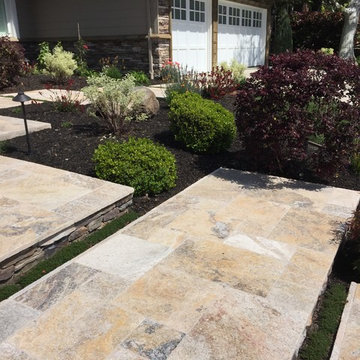 Alamo Exterior Renovation