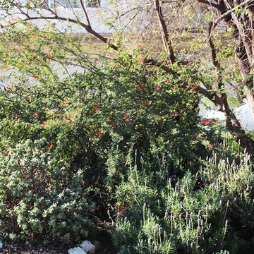 2018 Native Plant Garden Tour
