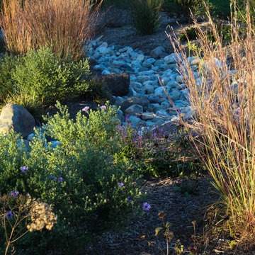 Conservation Meadowscape