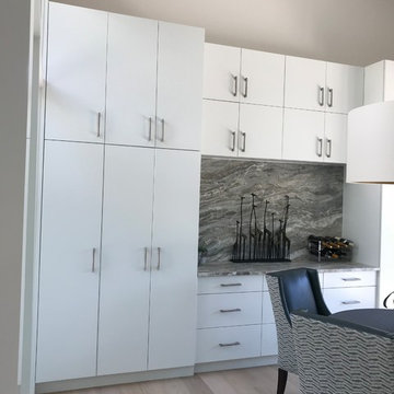Texas Contemporary Kitchen