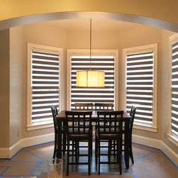 Zebra Shades - Roller Shades