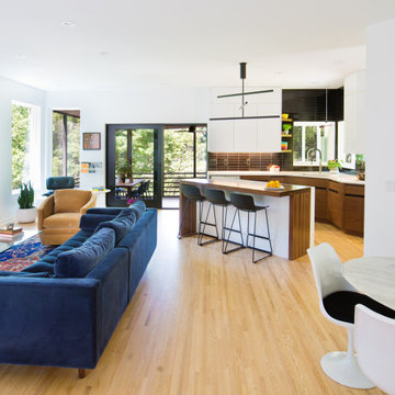 Excelsior Modern Remodel