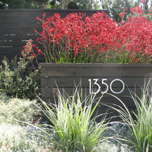 567 landscape design