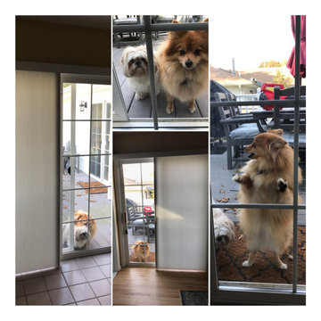 Honeycomb Duette Shades - Various Projects