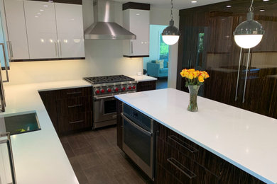 Inspiration for a contemporary l-shaped eat-in kitchen remodel in New York with an undermount sink, flat-panel cabinets, quartz countertops, paneled appliances and an island