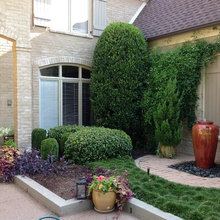 Landscape Ideas