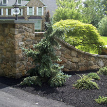 20 Elizabeth Rd.