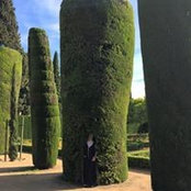 Steffan Mathias's photo