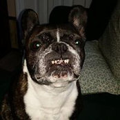 John Walsh's photo
