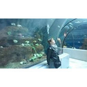 Susan Faith-Lecoupe's photo