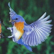 Kathleen Coward's photo