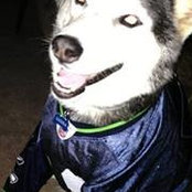 Joel Draper's photo