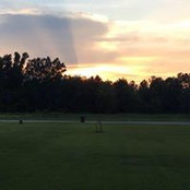 Kathy Collins's photo