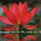 Celeste Reynoso's photo