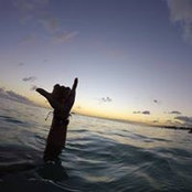 Jorge Tobaru's photo