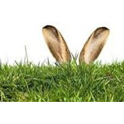 Jan Seidelbaum's photo