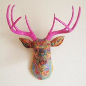 Lee Ann Grogg's photo