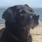 David Grant's photo