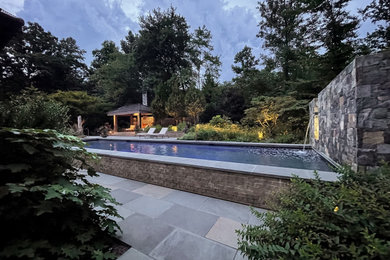 Inspiration for a pool remodel in DC Metro