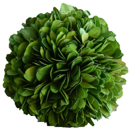 Boxwood Ball 4", (2-Piece Set)