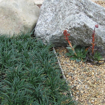 Garden for Reflection and Awareness