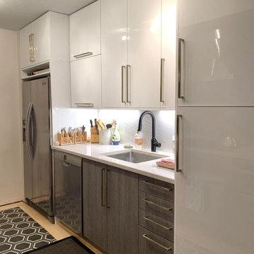 Evanston project