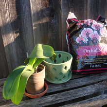Gardening Ideas