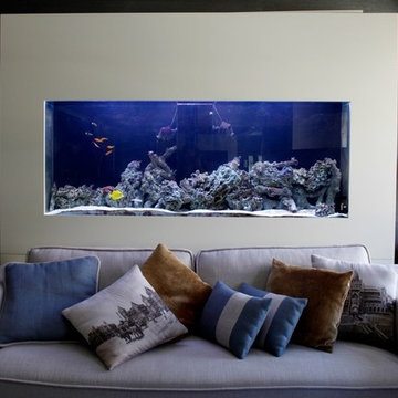 ADn's saltwater aquarium