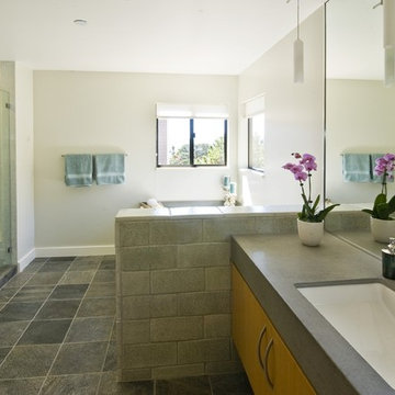 Modern Home in Marin