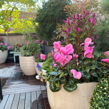 Greenwich Street Secret Garden
