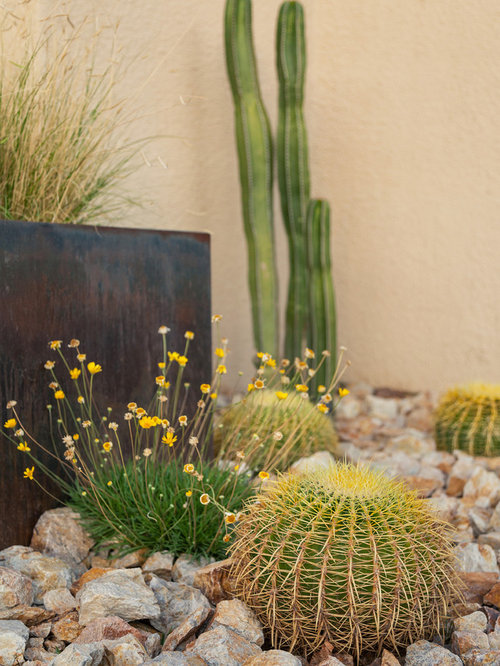 11 Best Phoenix Landscaping Ideas & Remodeling Pictures Houzz