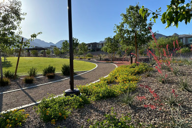 Photo of a southwestern landscaping in Las Vegas.