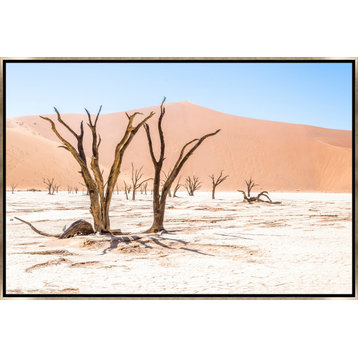 36x24 Namibian Skeleton Trees VIII, Framed Artwork, Silver