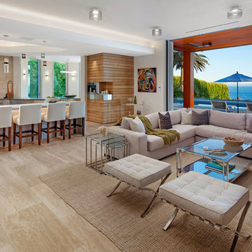 Contemporary Living Room