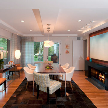 Mid Century remodel
