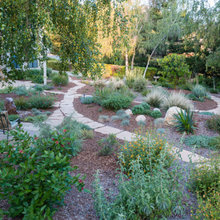 Backyard ideas