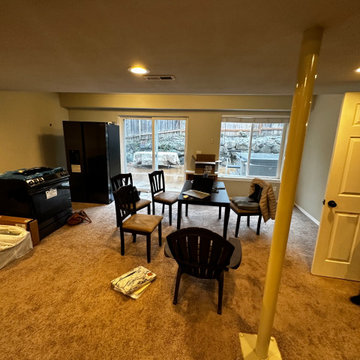 Federal Way Basement Remodel