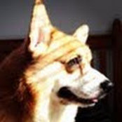 Michael D. Fuller's photo