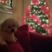 Colette Coady's photo