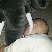 Tara Burnham's photo
