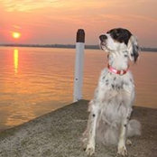 June Gaishin's photo