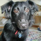Lisa Van Kuren's photo