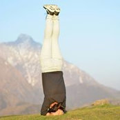 Shivani Pant's photo