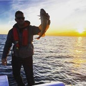 Mark Maxwell's photo