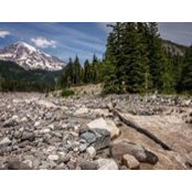 Susan Watling's photo