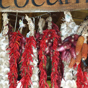 Elizabeth Walker's photo