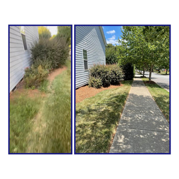 JPG Landwork Pine Needle