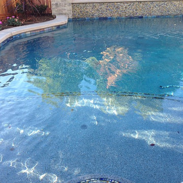 Small Granite Bay Pool/Spa