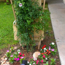 Front yard gardens